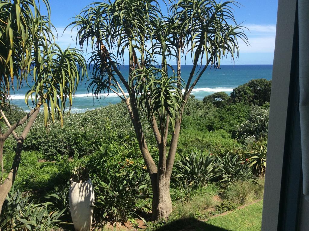 Misty Blue Bed And Breakfast Durban Oda fotoğraf